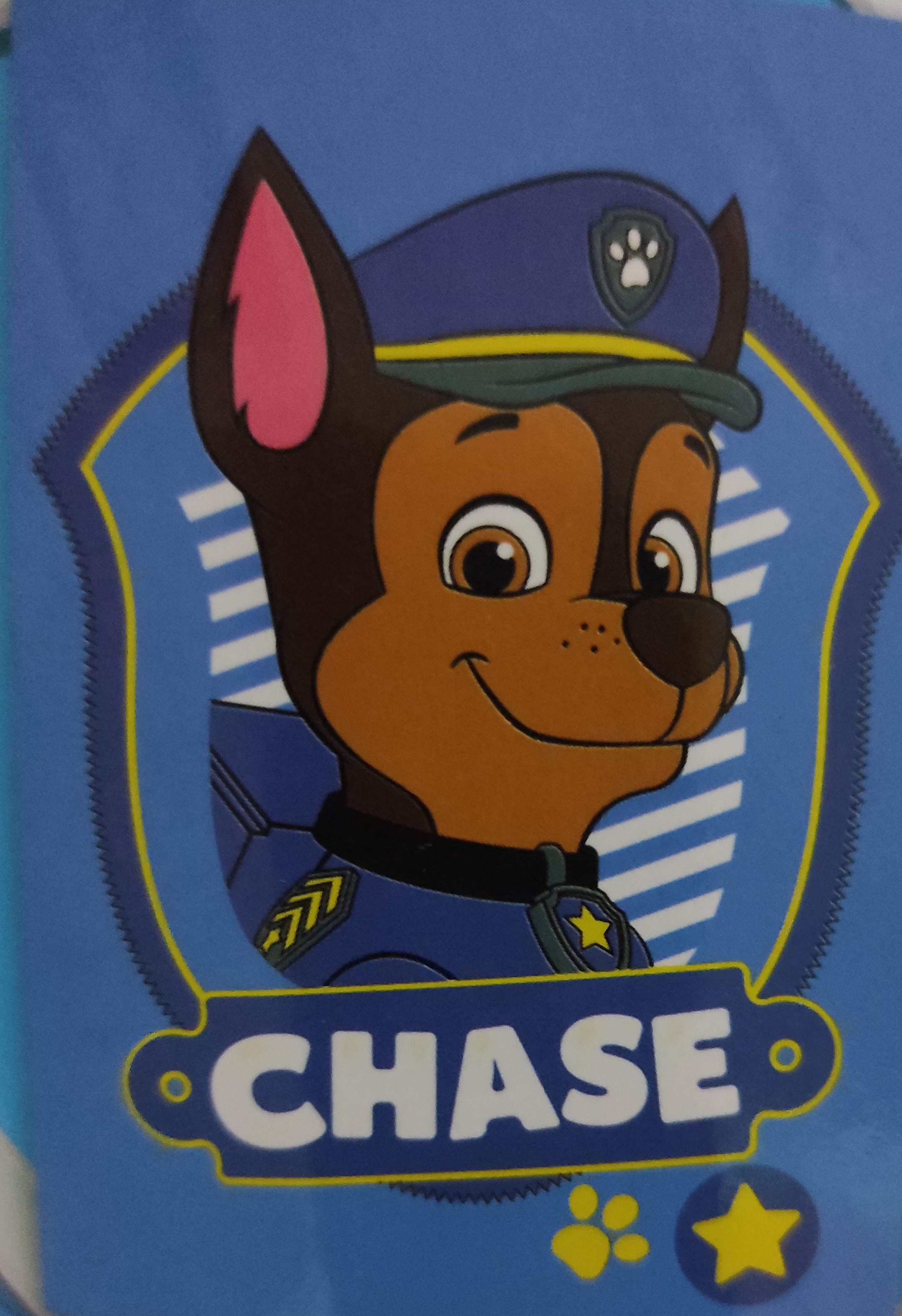 Deka Paw Patrol 100x150cm 